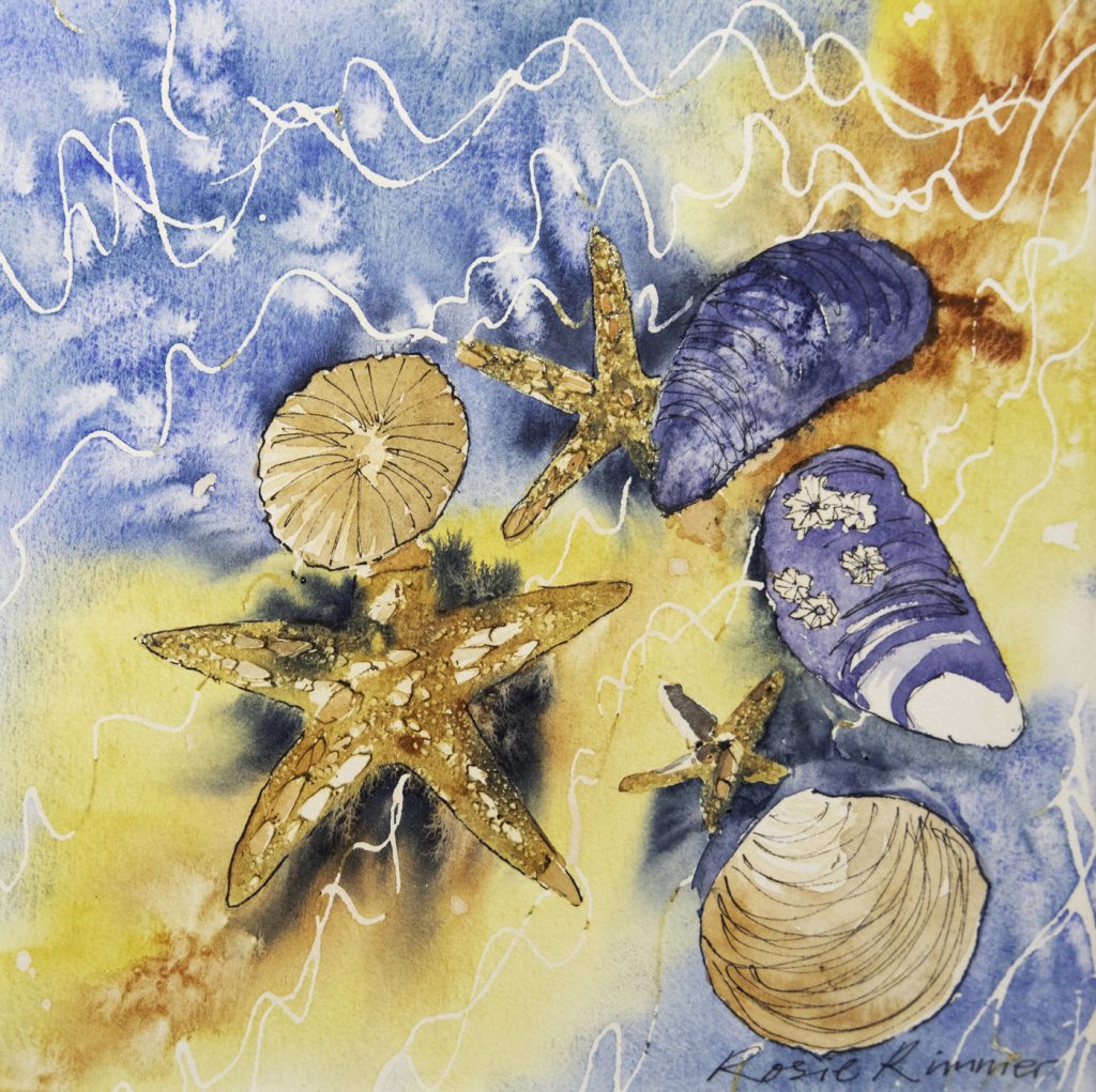 'Shells with Barnacles' by Rosie Rimmer