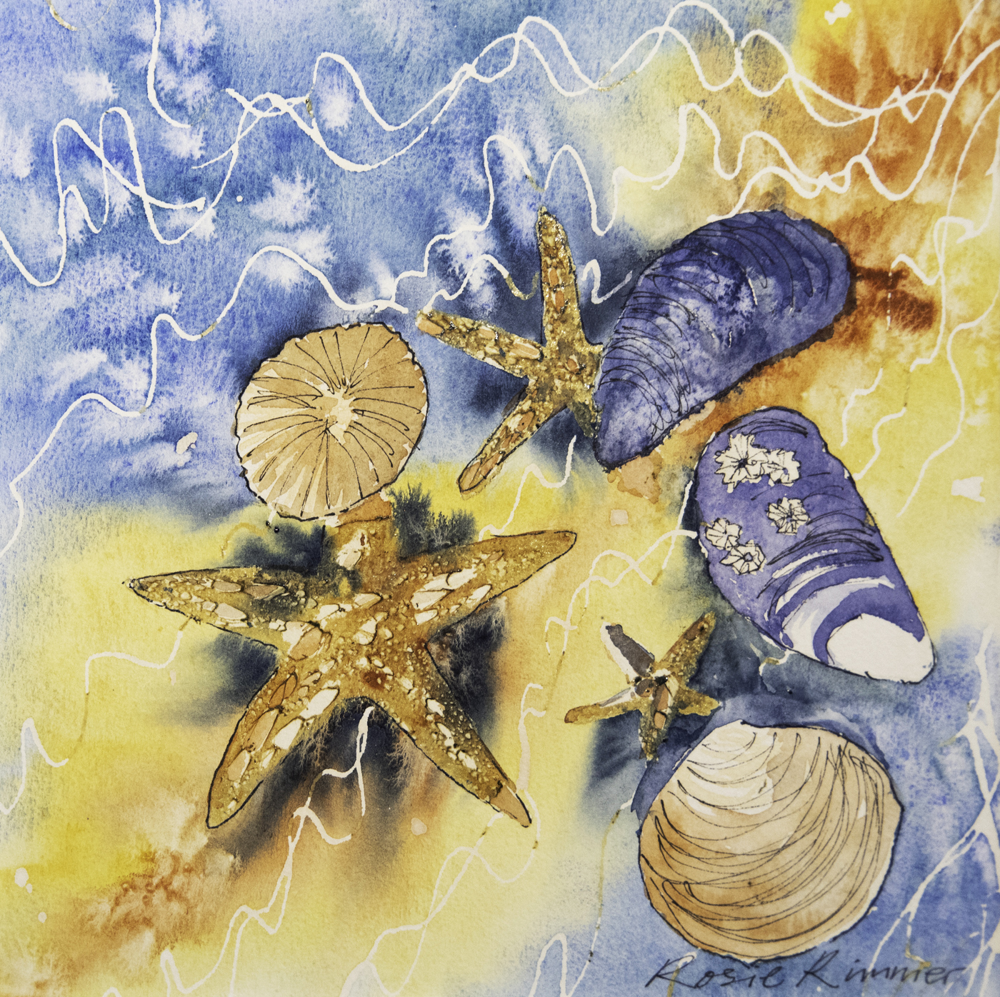 'Shells with Barnacles' by Rosie Rimmer